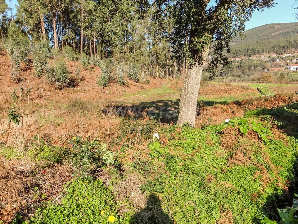 Helårsgrund i Barcelos, Braga - foto 1