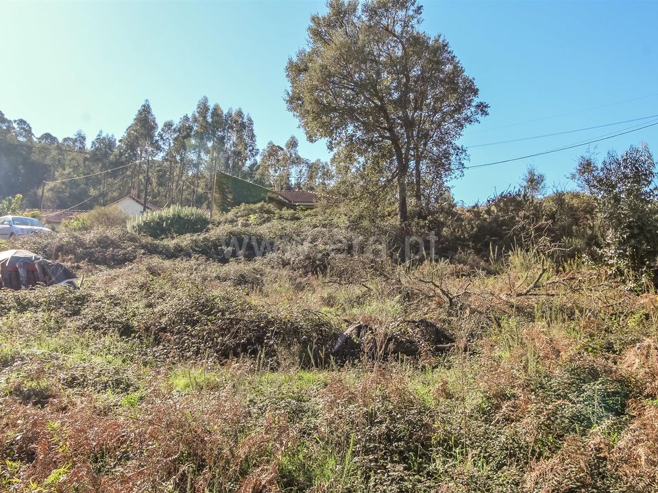 Helårsgrund i Barcelos, Braga - foto 3