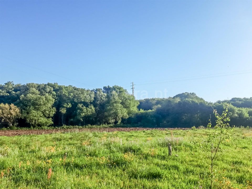 Helårsgrund i Esposende, Braga - foto 1