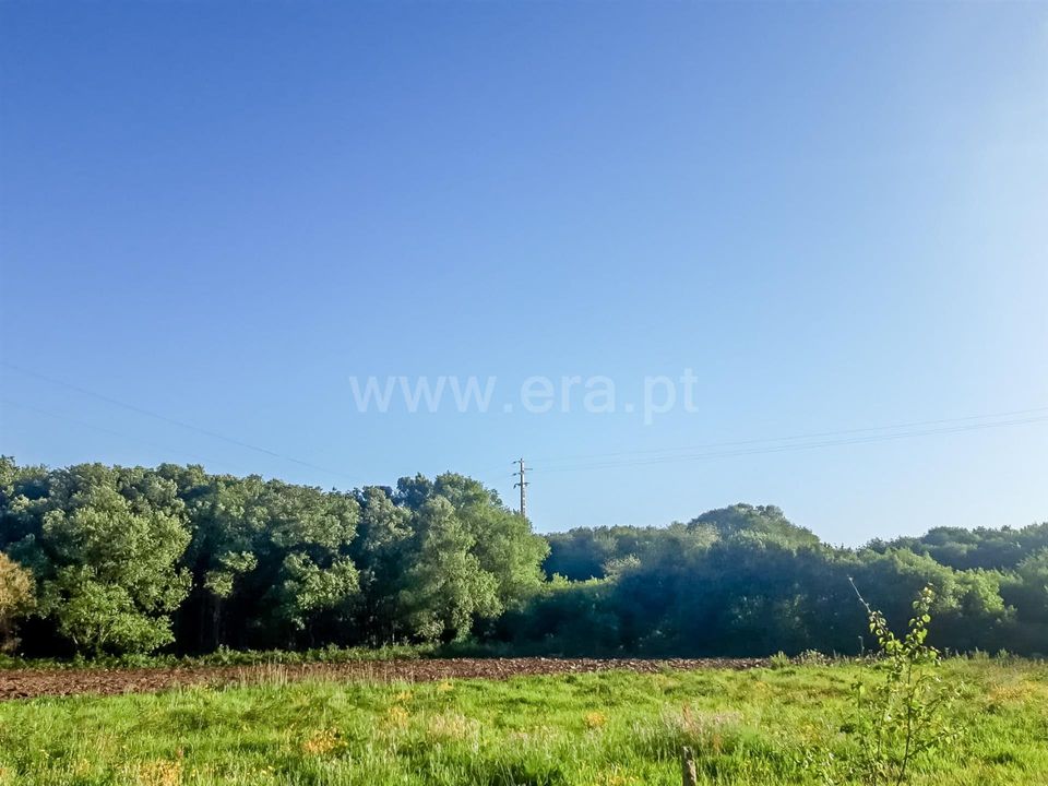 Helårsgrund i Esposende, Braga - foto 2