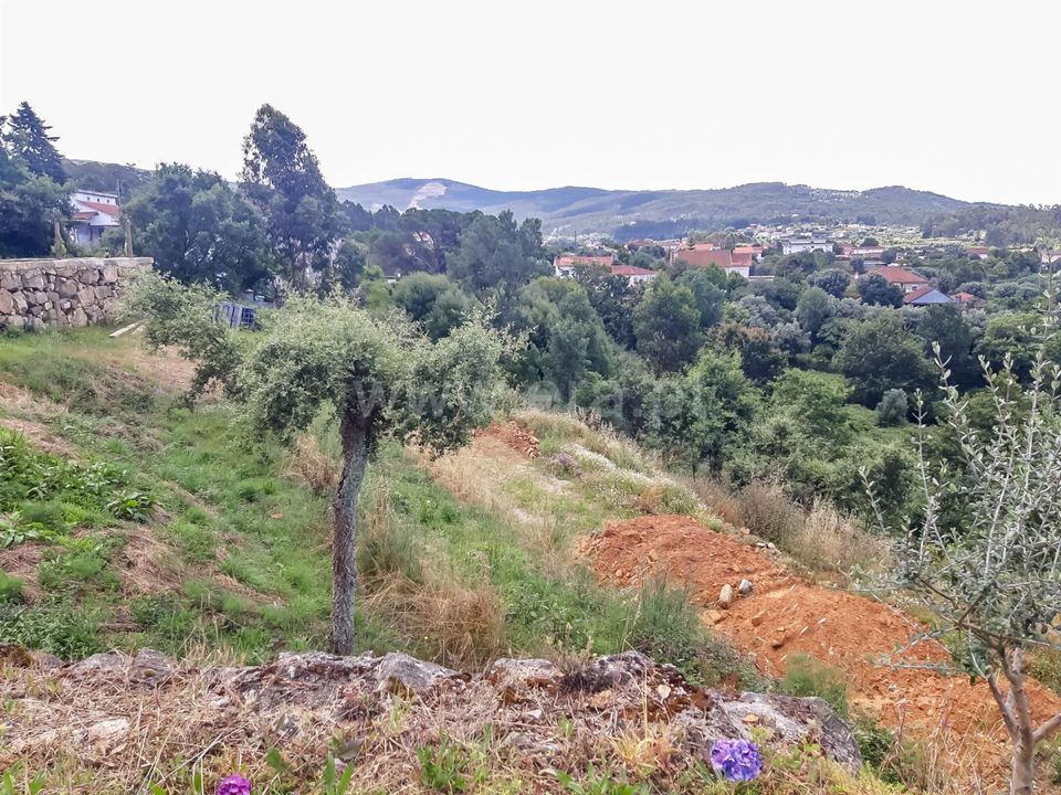 Helårsgrund i Barcelos, Braga - foto 3