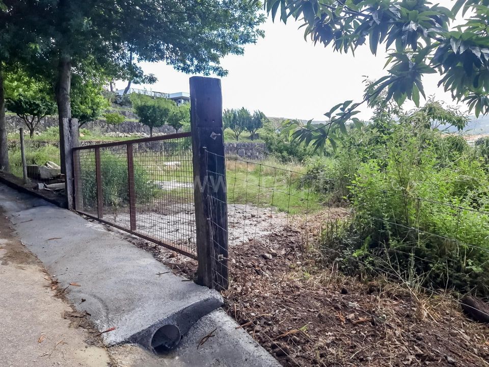 Helårsgrund i Barcelos, Braga - foto 4
