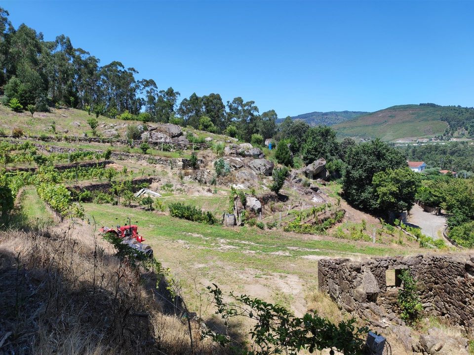 Helårsgrund i Barcelos, Braga - foto 1