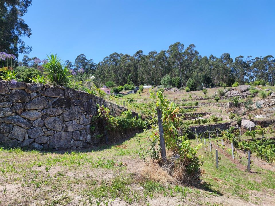 Helårsgrund i Barcelos, Braga - foto 3