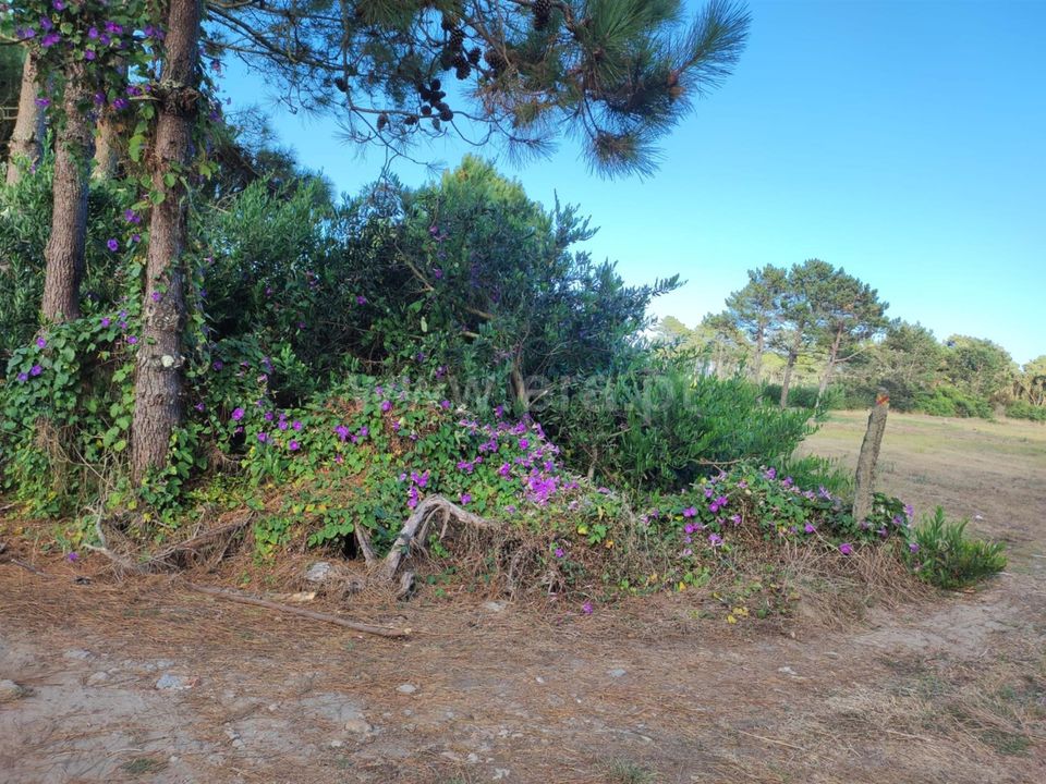 Helårsgrund i Esposende, Braga - foto 5