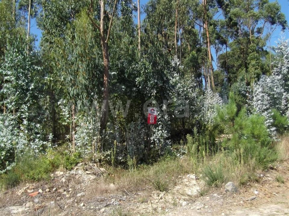 Helårsgrund i Barcelos, Braga - foto 3