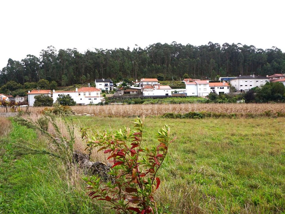 Helårsgrund i Barcelos, Braga - foto 4