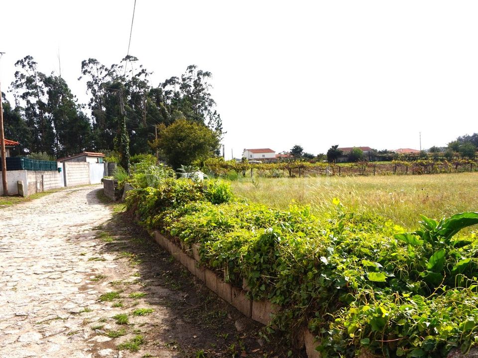 Helårsgrund i Barcelos, Braga - foto 3