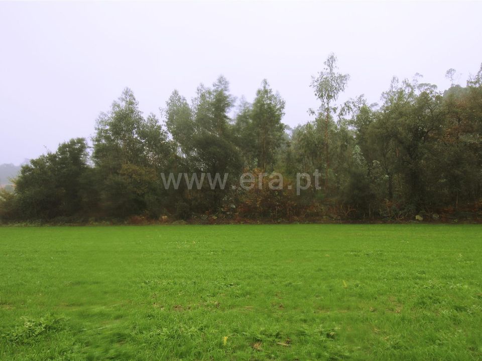 Helårsgrund i Barcelos, Braga - foto 2