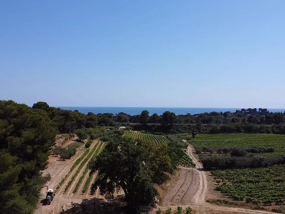 Villa i La Ciotat, Bouches-du-Rhone - foto 4