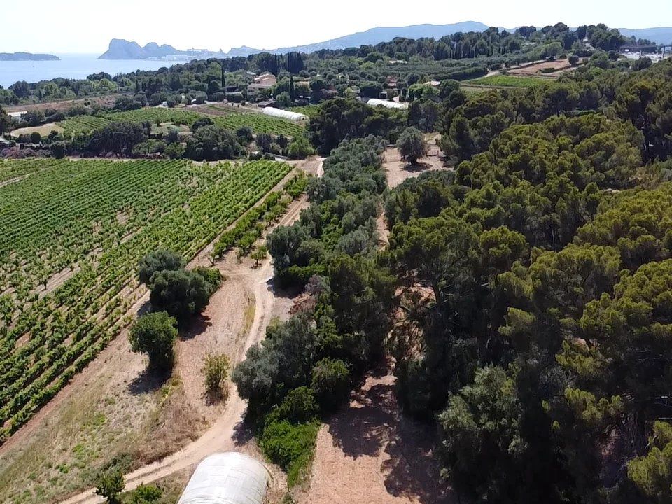 Villa i La Ciotat, Bouches-du-Rhone - foto 5