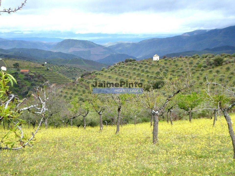 Helårsgrund i Figueira de Castelo Rodrigo, Guarda - foto 1