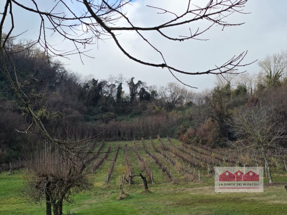 Helårsgrund i Vicenza, Vicenza - foto 3