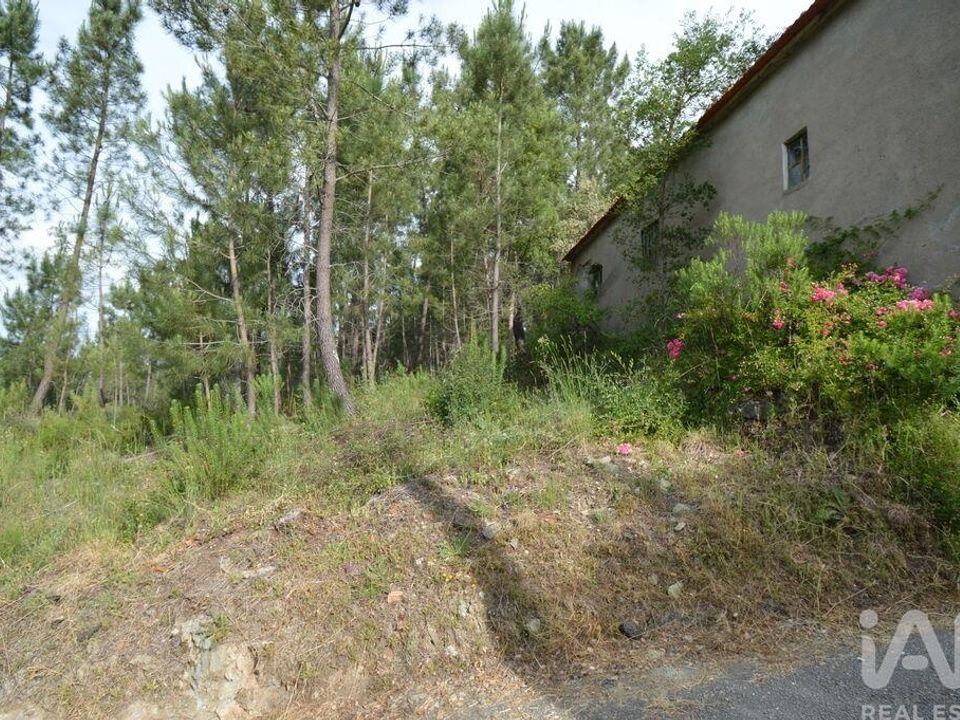 Byhus i Serta, Castelo Branco - foto 3