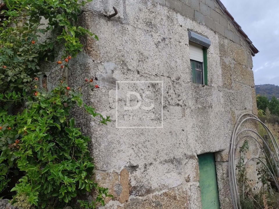 Ruinere i Santa Cruz do Douro e Sao Tome de Covelas, Porto - foto 3