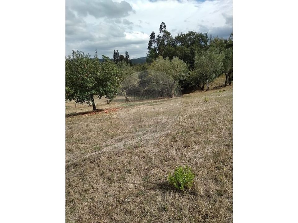 Villa i Alvaiazere, Leiria - foto 3