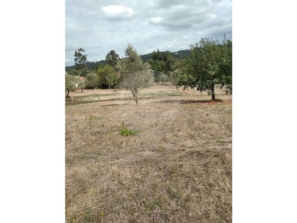 Villa i Alvaiazere, Leiria - foto 4