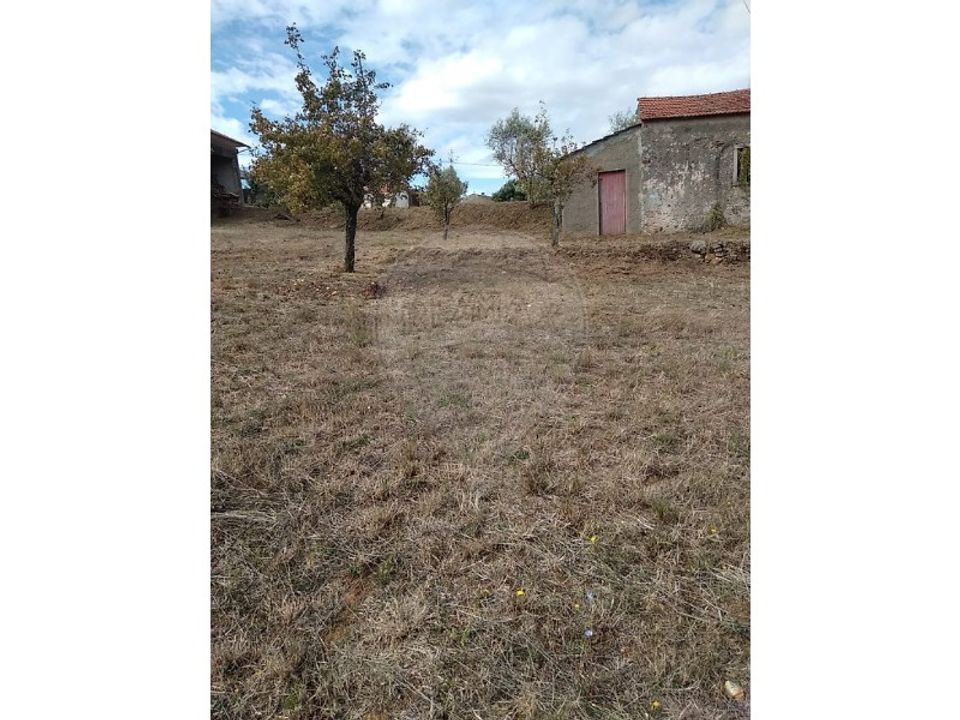 Villa i Alvaiazere, Leiria - foto 5