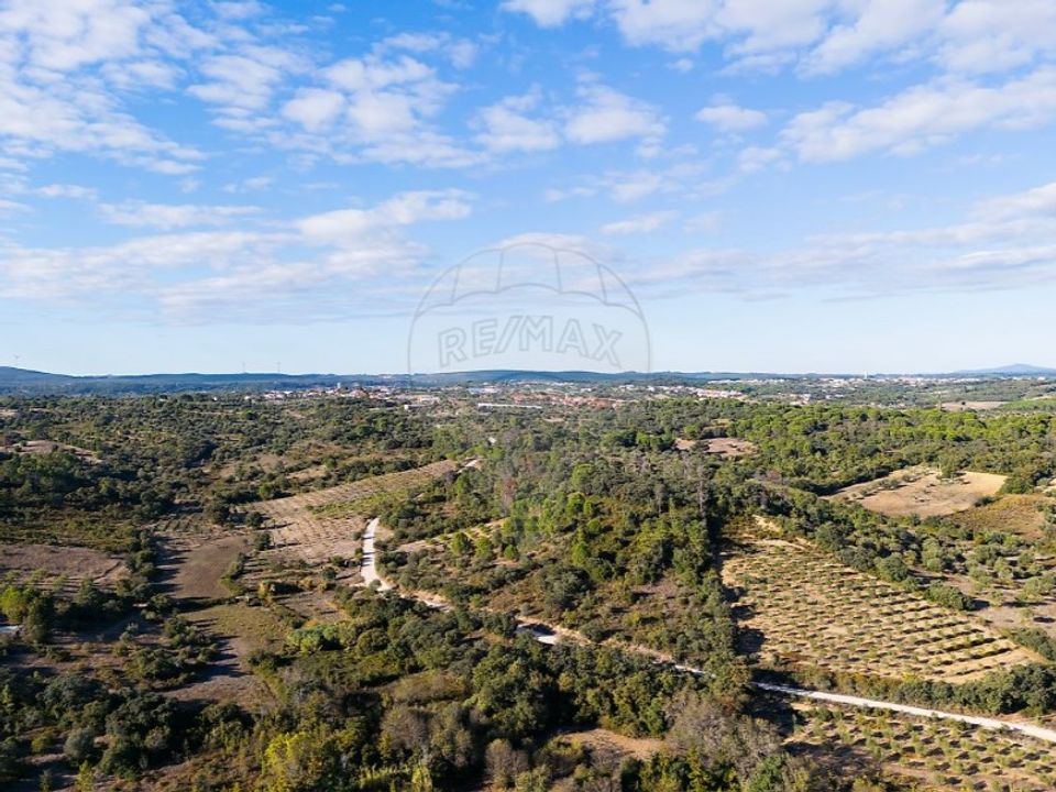 Helårsgrund i Olaia e Paco, Santarem - foto 3