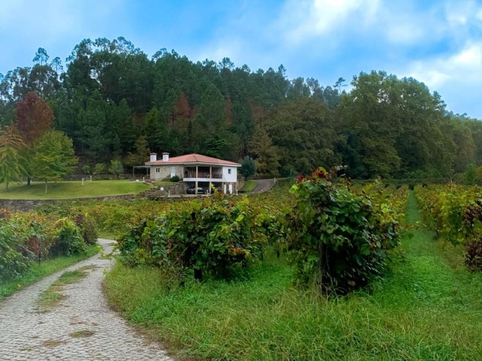 Granja a Parada do Bouro, Braga - foto 1