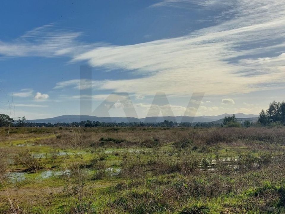 Villa i Quinta do Anjo, Setubal - foto 3