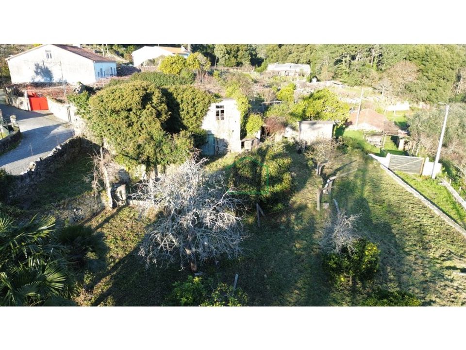 Farm i Vila Praia de Ancora, Viana do Castelo - foto 4