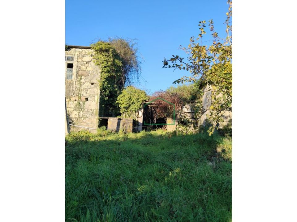 Farm i Vila Praia de Ancora, Viana do Castelo - foto 5