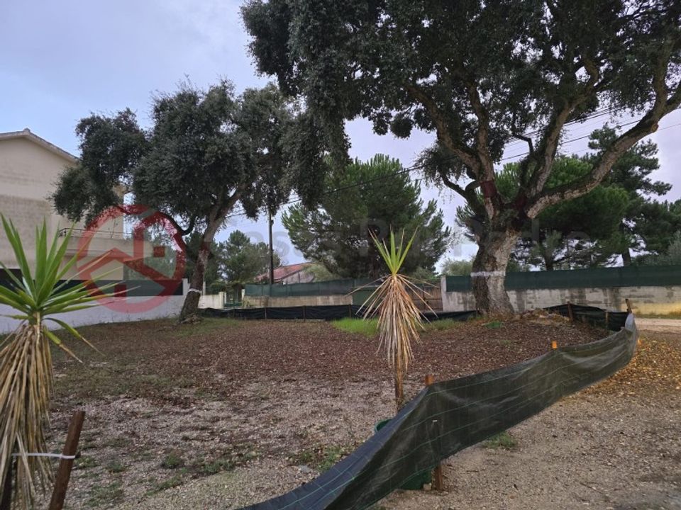 Helårsgrund i Brejos de Azeitao, Setubal - foto 5
