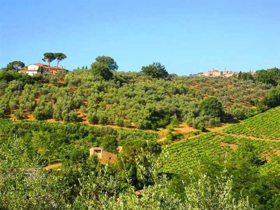 Erhvervsejendom i Montepulciano, Siena - foto 2