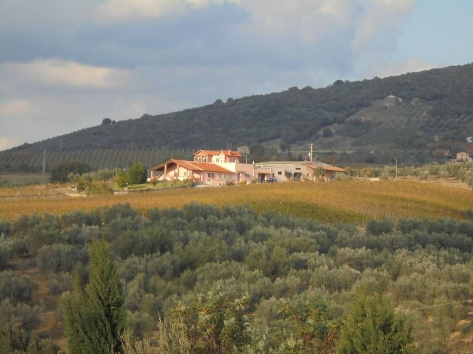 Erhvervsejendom i Montecchio, Terni - foto 1