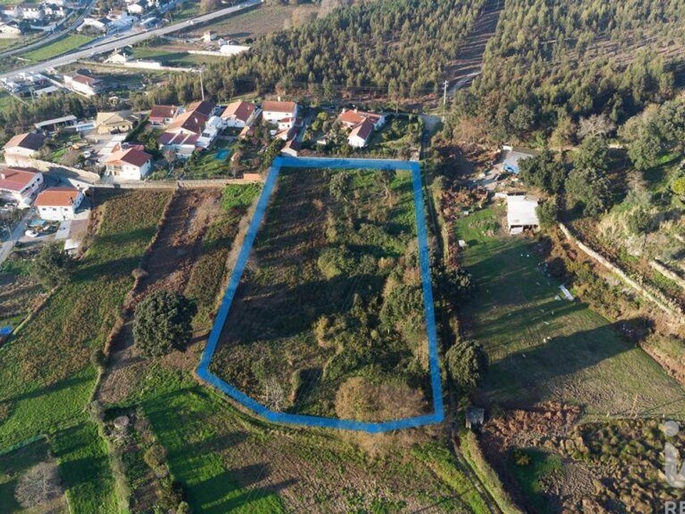 Działka: Oliveira de Azemeis, Aveiro – zdjęcie 1