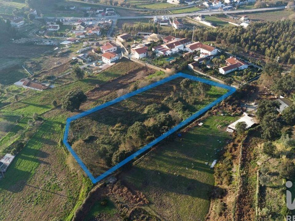 Działka: Oliveira de Azemeis, Aveiro – zdjęcie 2