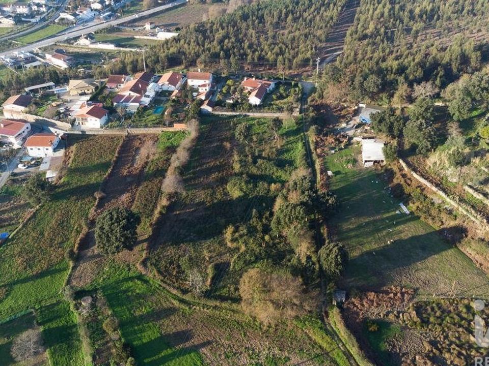Działka: Oliveira de Azemeis, Aveiro – zdjęcie 3