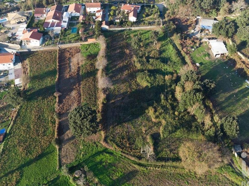Działka: Oliveira de Azemeis, Aveiro – zdjęcie 5