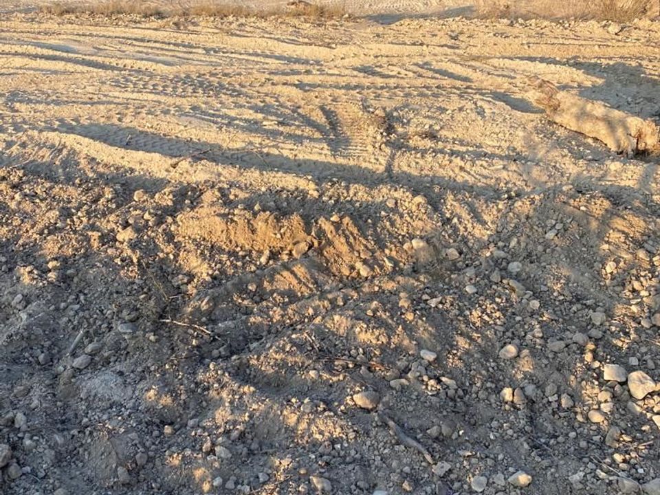 Helårsgrund i Monovar, Alicante - foto 4