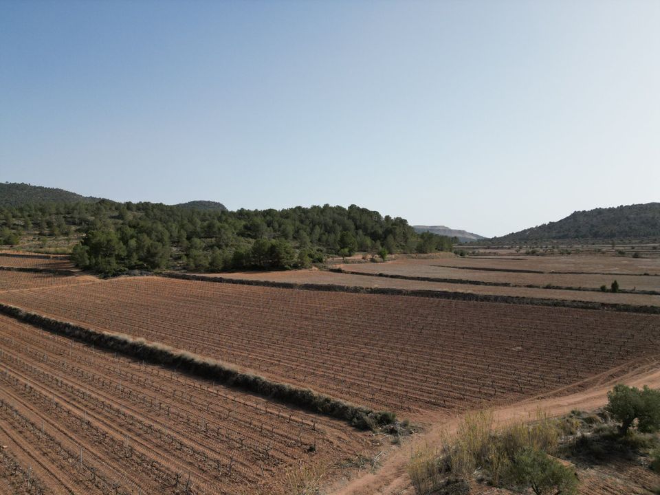 Helårsgrund i Pinoso, Alicante - foto 1