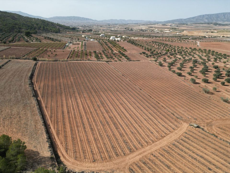 Helårsgrund i Pinoso, Alicante - foto 2
