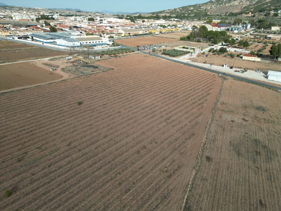 Helårsgrund i Pinoso, Alicante - foto 4