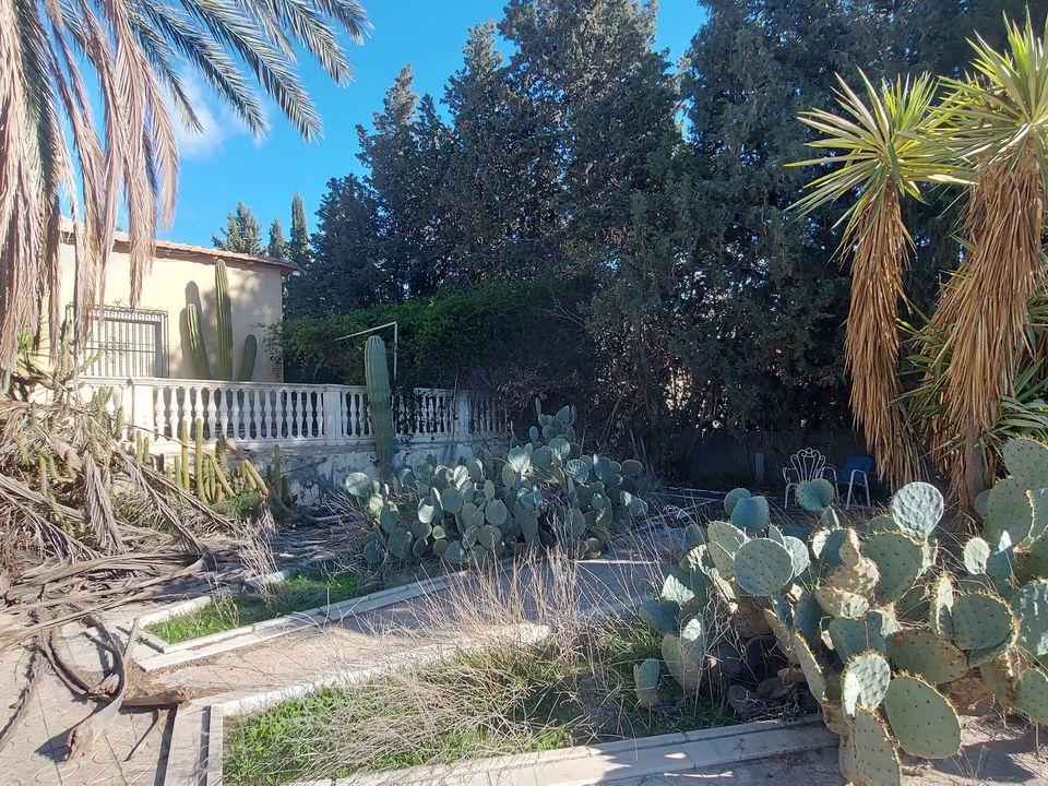Landejendom i Purchena, Almeria - foto 2