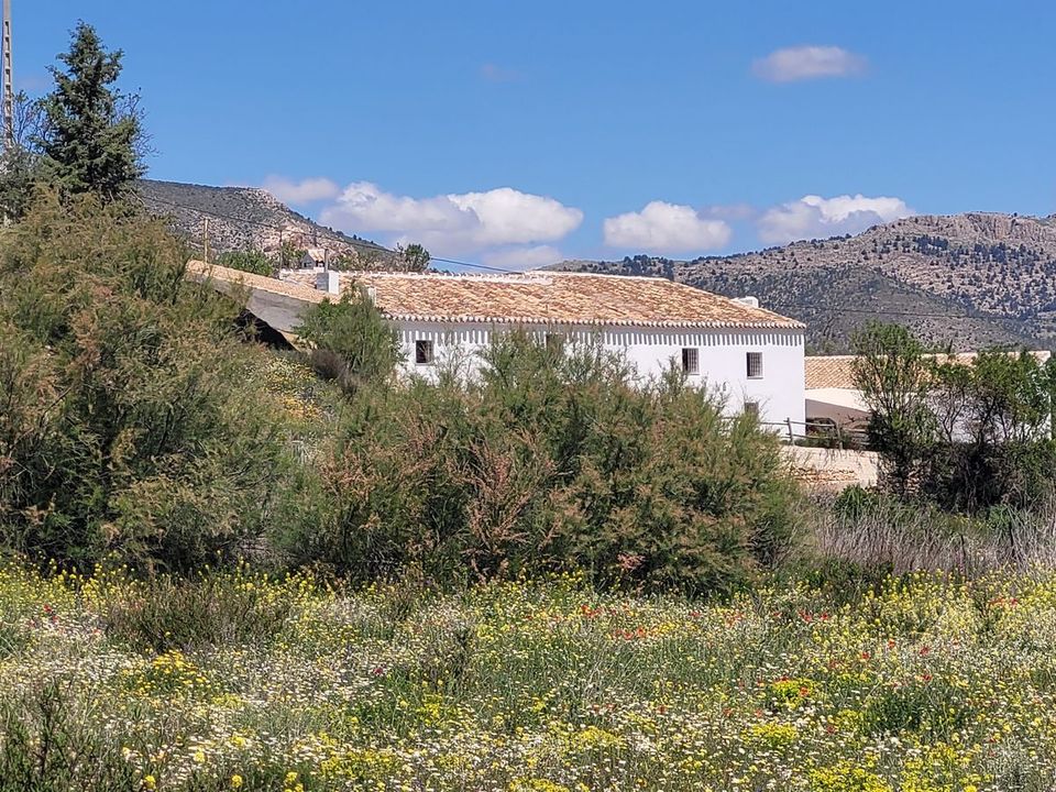 Landejendom i Velez-Blanco, Almeria - foto 2
