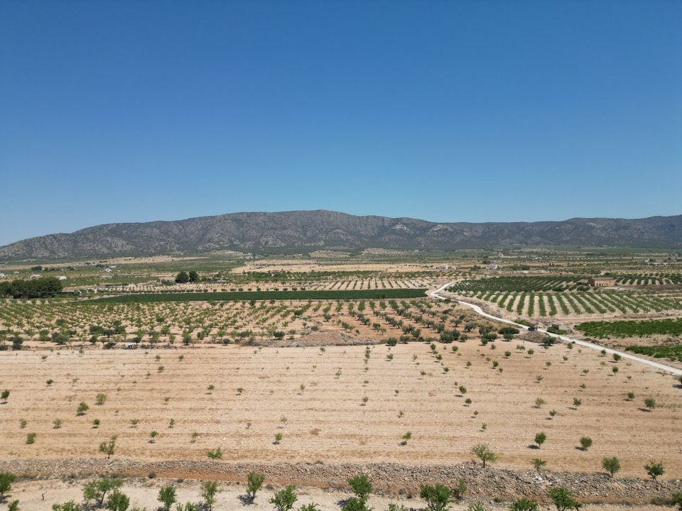 Helårsgrund i Pinoso, Alicante - foto 1
