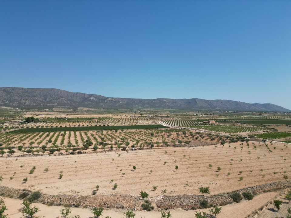Helårsgrund i Pinoso, Alicante - foto 5