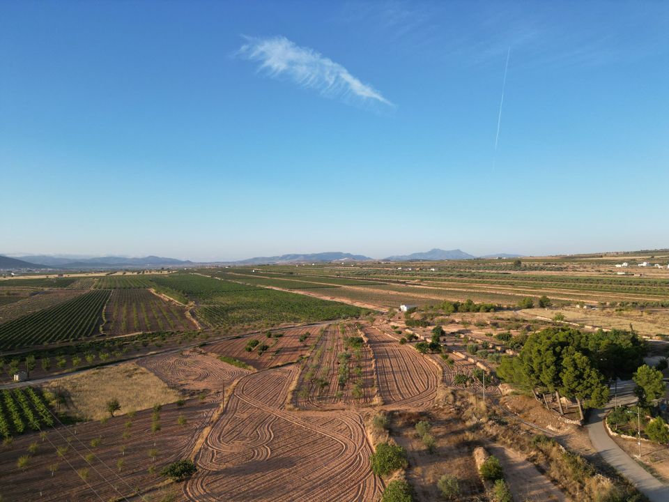 Helårsgrund i Pinoso, Alicante - foto 4