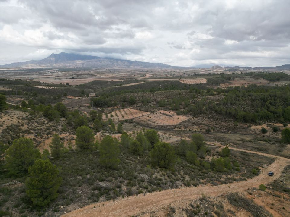 Helårsgrund i La Zarza, Murcia - foto 5