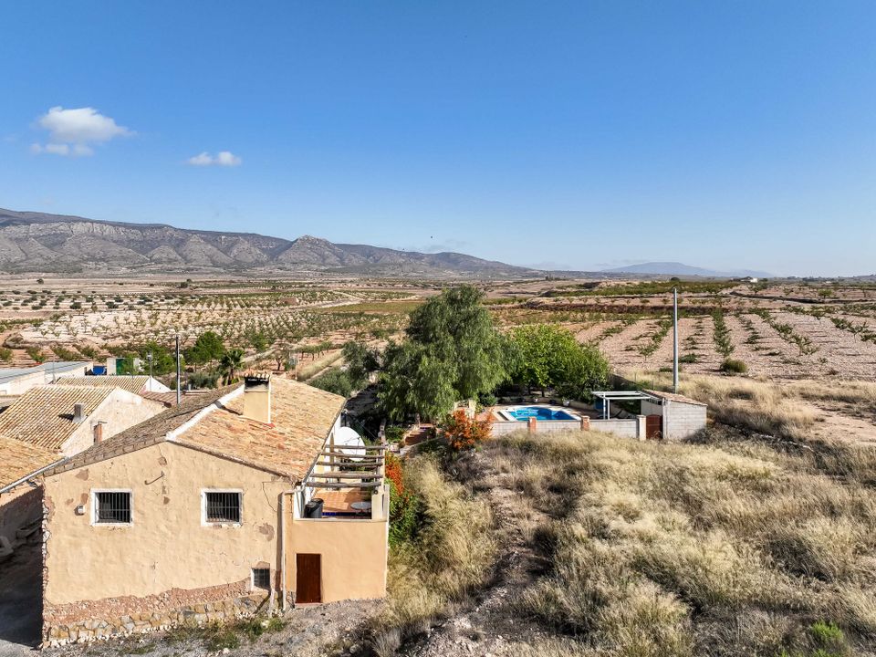 Landejendom i Pinoso, Alicante - foto 1