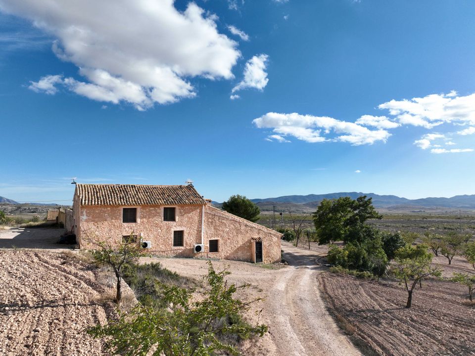 Landejendom i Jumilla, Murcia - foto 2