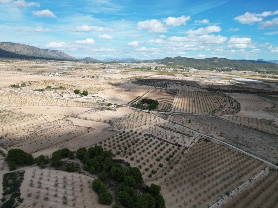 Helårsgrund i Pinoso, Alicante - foto 5