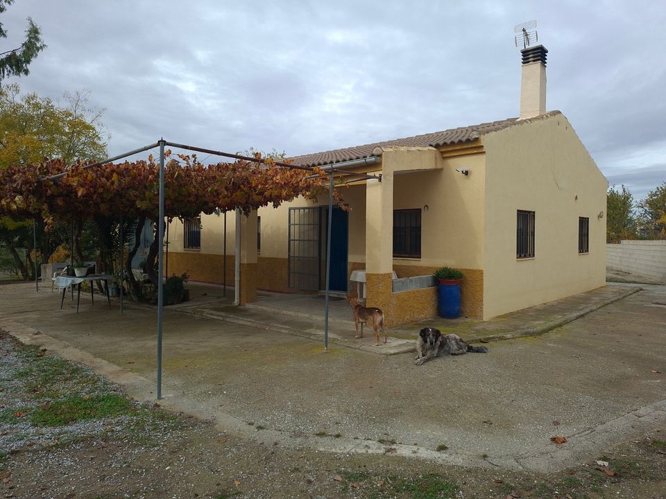 Herregård i Caniles, Granada - bilde 1