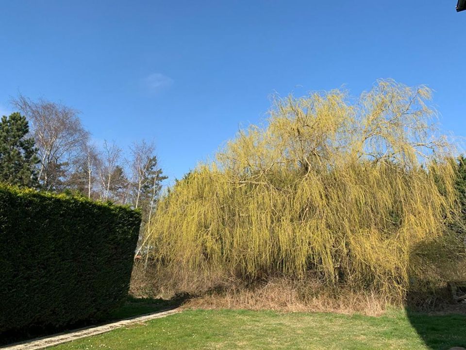 Lejlighed i Faverolles, Somme - foto 5