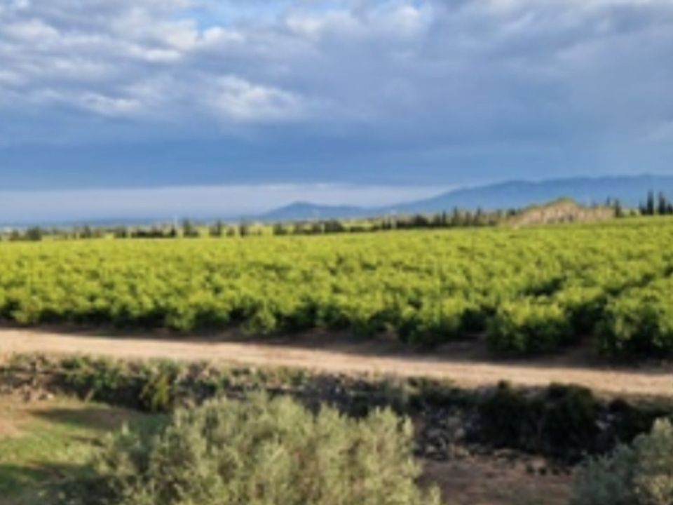 Villa a Roquetes, Tarragona - foto 2
